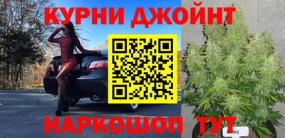 каннабис Будённовск