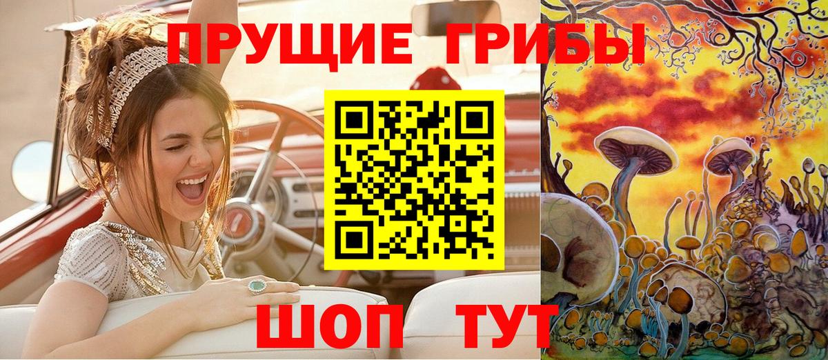 Псилоцибиновые грибы Psilocybine cubensis  Вход с VPN  Геленджик 