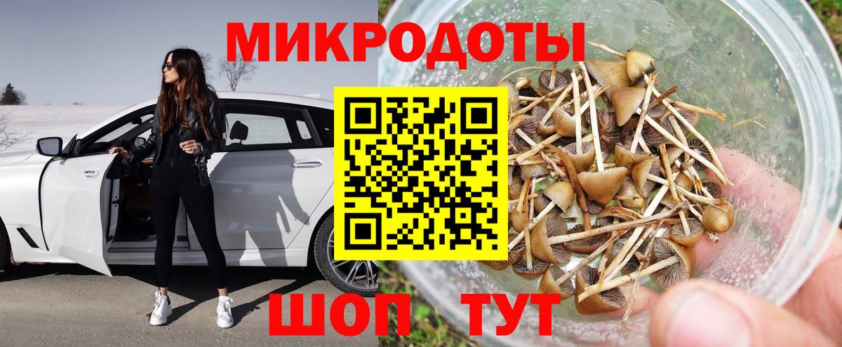 Галлюциногенные грибы Magic Shrooms Геленджик
